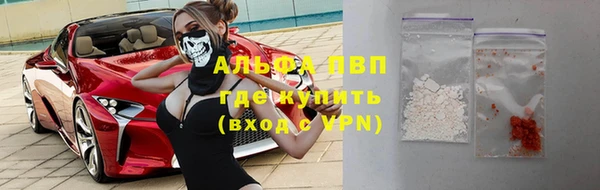 Альфа ПВП Верея