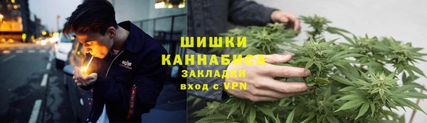 Альфа ПВП Верея