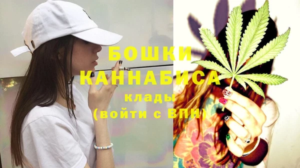 Альфа ПВП Верея