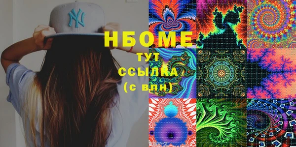 Альфа ПВП Верея