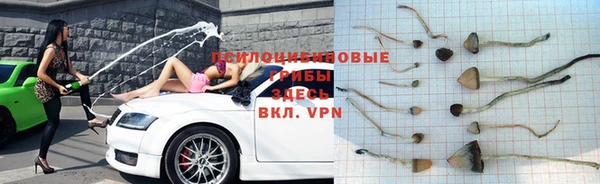 ECSTASY Верхний Тагил